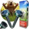 ARPON Solar Maulwurf- und Wühlmausvertreiber, 2er-Set, Produktbild-Vorschau 1