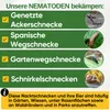 Green Guardia Nematoden gegen Nacktschnecken – 25 Mio. für Produktbild-Vorschau 2