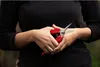 FELCO 310- Nożyce do zbioru nr 310, czerwone Podgląd zdjęcia produktu 12