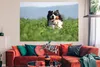 MuchoWow® Poster Ein Berner Sennenhund im hohen Gras Produktbild-Vorschau 2