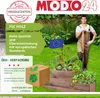 MODO24 Hochbeet Holz, Pflanzkasten, Massivholz, Kiefer, Produktbild-Vorschau 8
