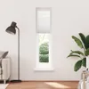 A tall, narrow window with white blinds is shown in the center of a white wall. To the left, a floor lamp and part of a sofa are visible. To the right, a large potted plant with broad green leaves is present. The floor is made of wooden planks. Anteprima dell’immagine prodotto