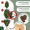 An illustration showing the assembly steps and features of a Christmas tree. Produktbild-Vorschau