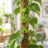 Lot de 10 clips flexibles pour plantes – FROGTIE Voir les images du produit 5