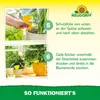 Neudorff Neudorff Trauermücken-Set – 5 Mio. SF-Nematoden Produktbild-Vorschau 7