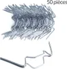50x Clips de vitrage pour Serre Inoxydable Plaque Voir les images du produit 1