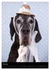 Faszination Deutsche Dogge (Wandkalender 2027 DIN A4 hoch), Produktbild-Vorschau 10