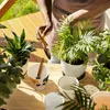 Katzen Blumentopf mit Glückskatze Produktbild-Vorschau 4