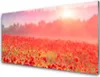 Acrylglasbilder 100x50 Wandbild Druck Wiese Blumen Natur Produktbild-Vorschau 1
