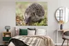 MuchoWow® Poster Igel im Gras 160x120 cm - Foto Plakat Produktbild-Vorschau 4