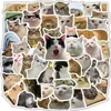 Lustige Katzenaufkleber mit Memes, 50er-Set zum Produktbild-Vorschau 2