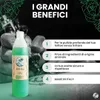 Water Law - Tattoo Green Soap 500 ml - Flüssigseife für Produktbild-Vorschau 7