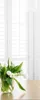 A vase of white tulips sits on a wooden table in front of white shutters. Produktbild-Vorschau