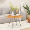 A round wooden coffee table with metal legs is placed on a rug in front of a sofa. A vase with greenery and a decorative bowl are on the table. A potted cactus and a knot pillow are visible in the background. Náhled obrázku produktu