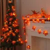 2 PCS Home Herbst Dekorationen, Thanksgiving Lichter, Produktbild-Vorschau 7