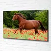 Tulup® Leinwandbild - 100x70 cm - Wandkunst - Drucke auf Produktbild-Vorschau 2