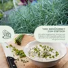 Semi di erba cipollina biologica - semi di erbe da cucina Anteprima dell’immagine prodotto 3