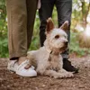 TICKLESS Zeckenschutzmittel ECOPET Produktbild-Vorschau 4