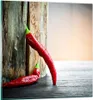 Bilder auf glas - Chili Gewürz Gemüse - 50x50cm - Produktbild-Vorschau 1