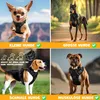 Lovpet® Hundegeschirr ohne Zug & würgen für Hunde & Welpen Produktbild-Vorschau 6