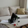 A steam iron and accessories are laid out on an ironing board next to a sofa. Náhled obrázku produktu