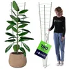 Tuteur KADAX pour plantes, 180 cm, 1 pièce, tuteur en Voir les images du produit 1