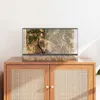 vidaXL Terrario con contenitore trasparente 50 x 30 x 30 cm Anteprima dell’immagine prodotto 4