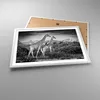 Gerahmtes Poster - Weißer Rahmen - Giraffen Schwarzweiß Produktbild-Vorschau 3