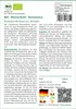 SAFLAX - BIO - Blumenkohl - Romanesco - Brassica oleracea Produktbild-Vorschau 3