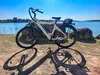 An e-bike is parked on a rocky shore next to a body of water on a sunny day. Produktbild-Vorschau
