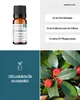 Wintergrün (10ml) - naturreines, ätherisches Öl von Produktbild-Vorschau 2