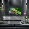 A modern living room with a large TV displaying an iguana, a sleek media console, and a black leather sofa. Voir les images du produit