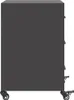 VidaXL 846728, Schwarz, Stahl, 360 mm, 390 mm, 590 mm, 1 Produktbild-Vorschau 7