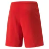 Puma Teamrise Shorts Herren - Rot Produktbild-Vorschau 2