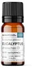 Eukalyptus globulus (10ml)  - naturreines, ätherisches Öl Produktbild-Vorschau 1