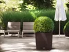 A modern outdoor patio setting with two chairs, a large potted plant, and a closed umbrella. Produktbild-Vorschau