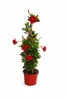 Mandevilla Rot ca. 80 cm – Dipladenia Kletterpflanze, Produktbild-Vorschau 4