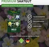 Akelei Mrs. Scott Elliot Mix Samen - Aquilegia x hybrida - Produktbild-Vorschau 9
