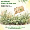 Power Raubmilben gegen Trauermücken und Rote Vogelmilbe -1x Produktbild-Vorschau 6