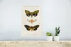 MuchoWow® Poster Schmetterling - Vintage - Insekten 20x30 Produktbild-Vorschau 5