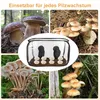 A collage of images showing different types of mushrooms and a mushroom growing tent. Produktbild-Vorschau