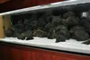 Aquarium Steine Lava Vulkangestein Schwarz 15 kg, Produktbild-Vorschau 3