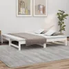A white wooden daybed with a grey blanket and pillows is shown in a room with two framed pictures on the wall and a potted plant. Náhled obrázku produktu