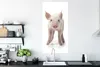 MuchoWow® Poster Schwein - Tiere - Weiß 60x120 cm - Produktbild-Vorschau 3