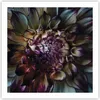 Poster - Poster ohne Rahmen - Blätter Agave Blume - 60x60 Produktbild-Vorschau 1