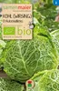 Artikelbild 1 von 'BIO Kohl (Wirsing) D'Aubervilliers' aus der Kategorie Wirsingsamen Produktbild-Vorschau