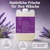 Sonett Waschmittel Lavendel 20 l Produktbild-Vorschau 2
