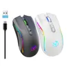 Two gaming mice, one gray and one white, with RGB lighting, shown with a USB receiver and a charging cable. Produktbild-Vorschau