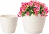 Cremefarbener Blumentopf aus Kunststoff mit Untertasse Produktbild-Vorschau 1