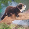 Folkmanis Handpuppe Otter 45 cm Produktbild-Vorschau 6